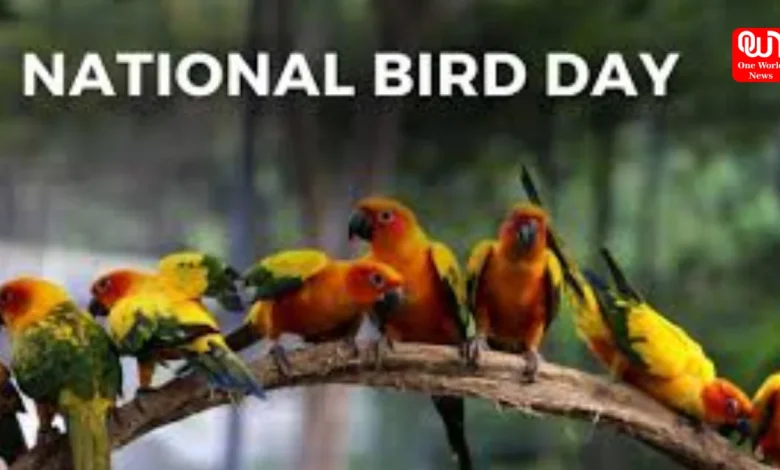National Bird Day
