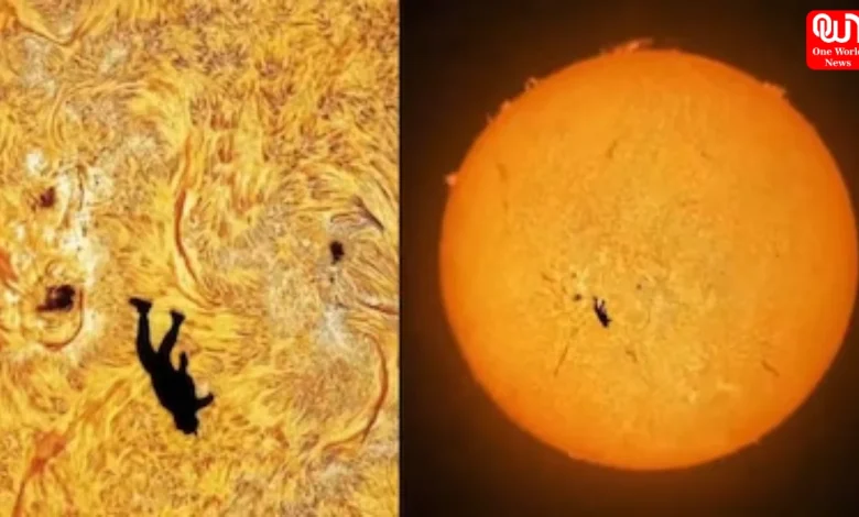 Fall Of Icarus, Man Skydiving Through Sun, Astrophotographer