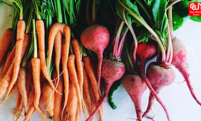 Healthiest Root Vegetables