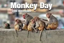 Monkey Day