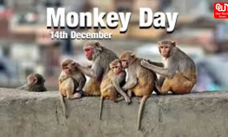 Monkey Day