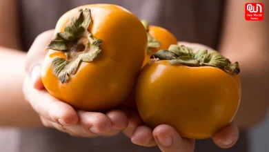 Persimmons, Persimmons Winter, Eat Persimmons
