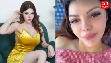 Sherlyn Chopra, Breast Implants