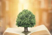 World Philosophy Day