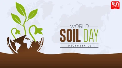 World Soil Day