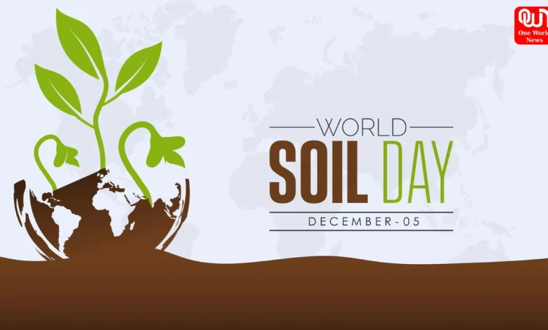 World Soil Day