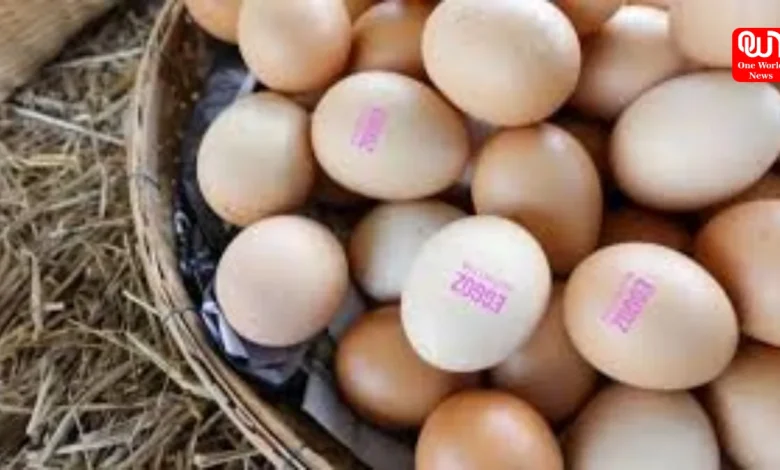 Eggoz Cancer Controversy