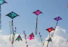 International Kite Day 2026