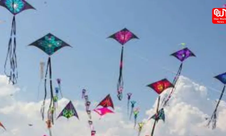 International Kite Day 2026