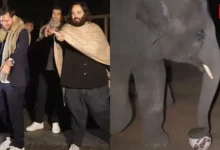 Lionel Messi plays football with baby elephant at Vantara