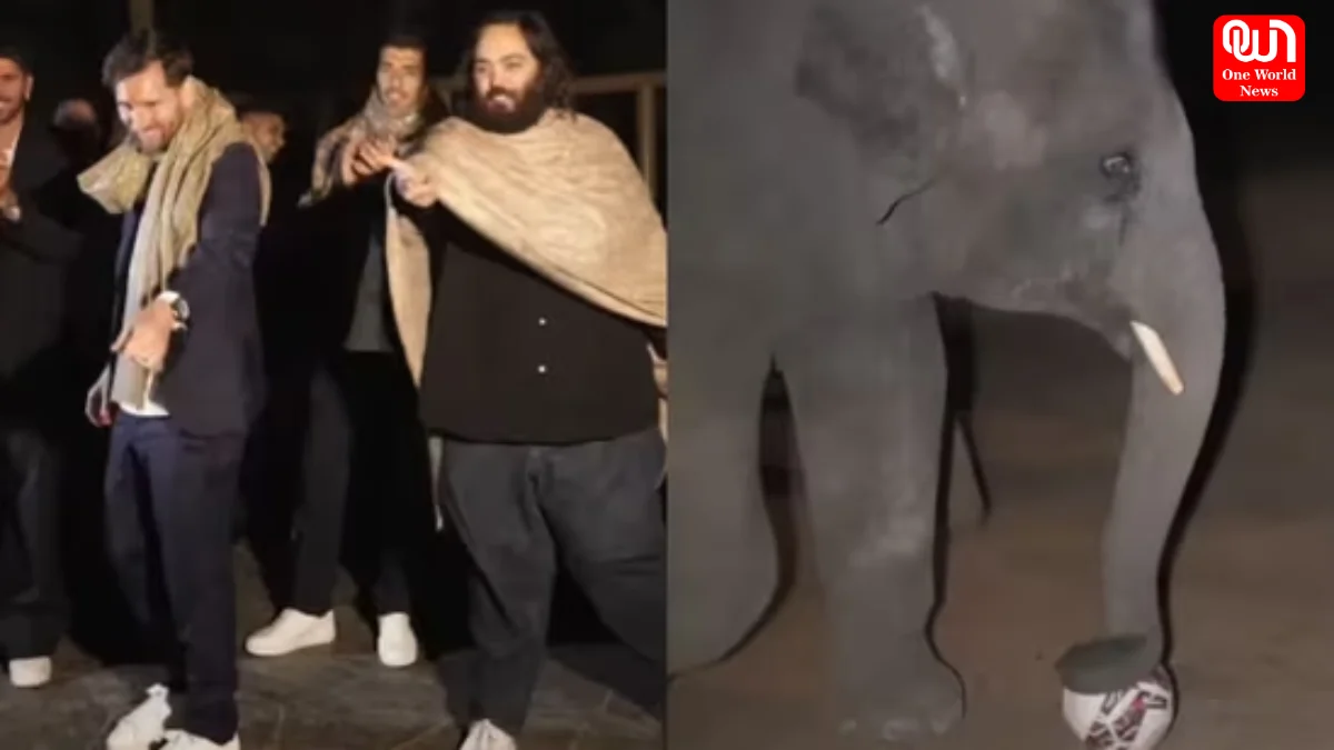 Lionel Messi plays football with baby elephant at Vantara