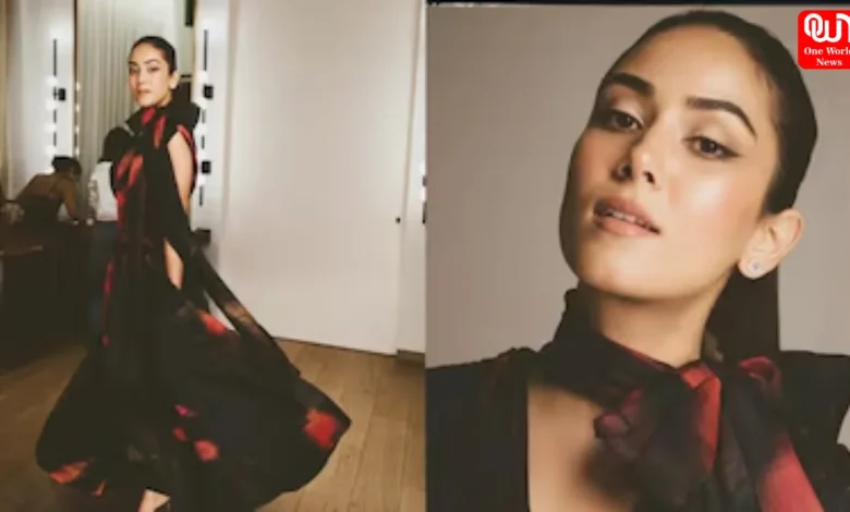 Mira Kapoor,Black Dress And Glam Bow, Christmas Fashion