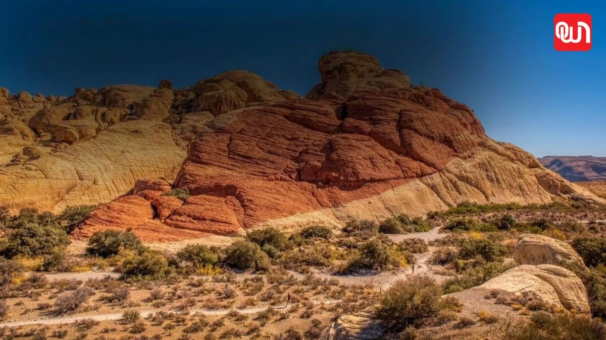 Obay Rocks Old Rock Day: Celebrating Earth’s Ancient Treasures
