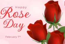 Rose Day 2026