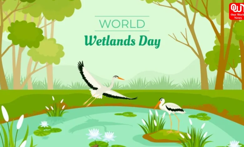 World Wetlands Day