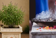 Tulsi Pujan Diwas 2025