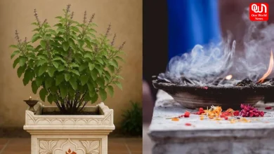 Tulsi Pujan Diwas 2025