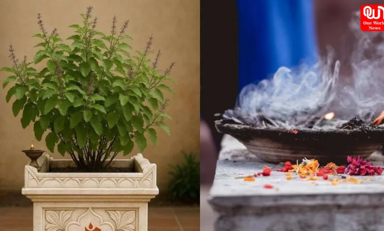 Tulsi Pujan Diwas 2025