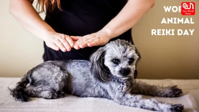 World Animal Reiki Day 2026