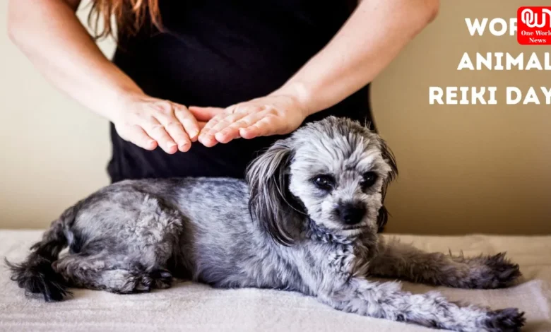 World Animal Reiki Day 2026