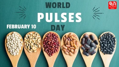 World Pulses Day 2026