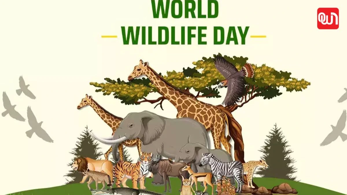 World Wildlife Conservation Day