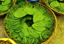Betel Leaves