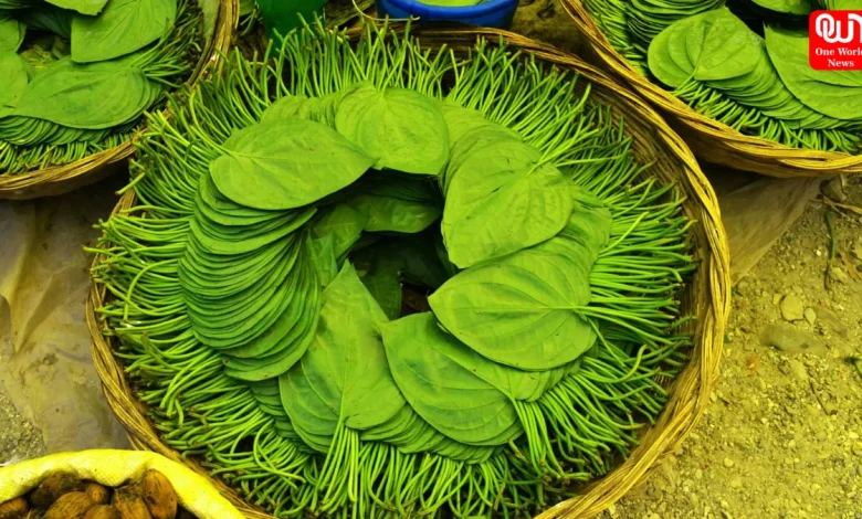 Betel Leaves
