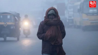 Delhi-NCR, Temperature Falls To 3°C