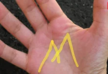 Meaning Of 'M' Line In Hands By Expert