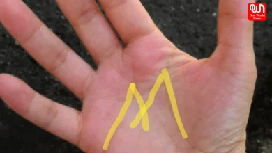 Meaning Of 'M' Line In Hands By Expert