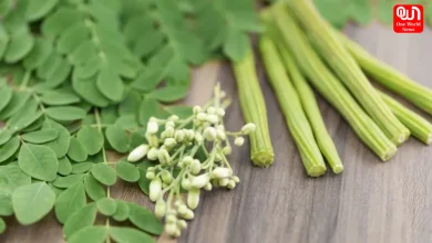 Moringa Atta