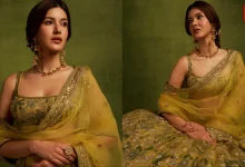 Shanaya Kapoor, 7 Lakh Anita Dongre Lehenga, Pichhwai Art