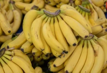 Side Effects night banana