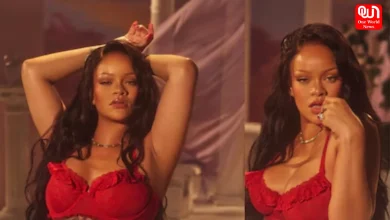 Rihanna Heat In Bold Red Lingerie Photos