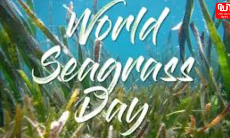 World Seagrass Day 2026