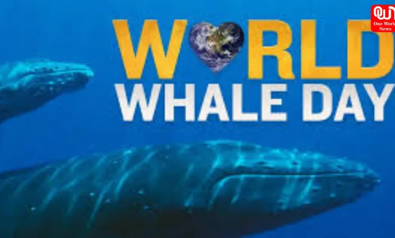 World Whale Day 2026: