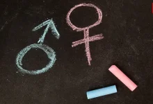 Political Roundup: Key Global Political Developments Explained