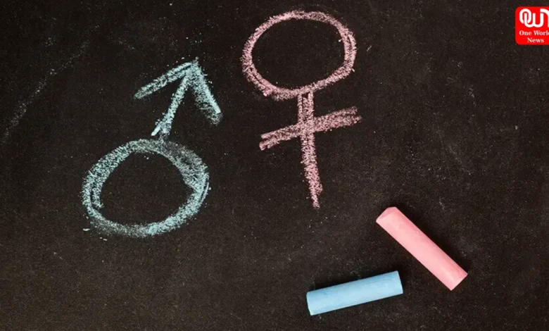 Political Roundup: Key Global Political Developments Explained