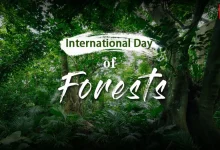 International Day of Forests