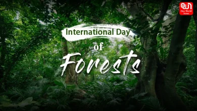 International Day of Forests