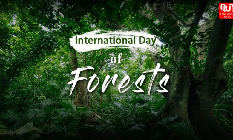 International Day of Forests