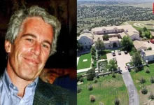 Jeffrey Epstein, Epstein Files