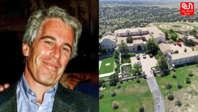 Jeffrey Epstein, Epstein Files