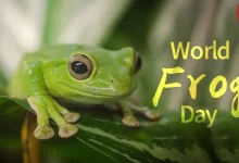 World Frog Day