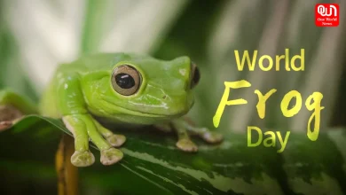 World Frog Day
