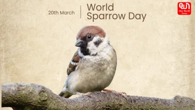 World Sparrow Day