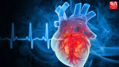 AHA acc cholesterol guidelines 2026