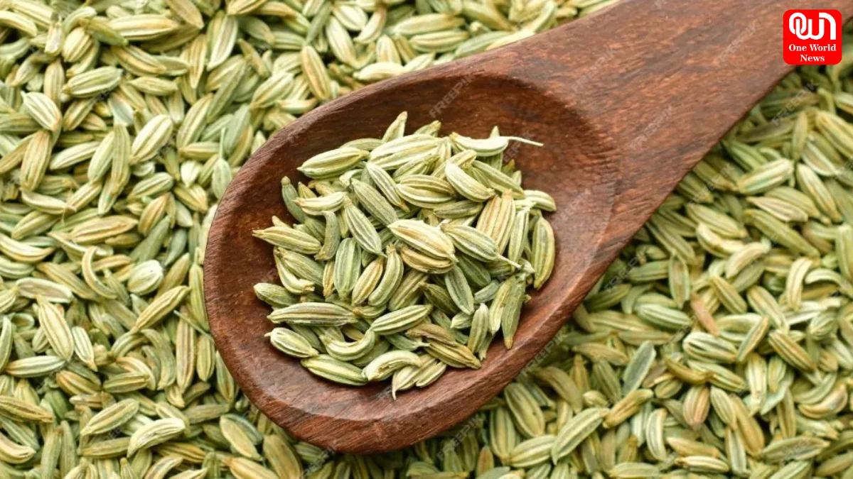Fennel Seeds, Saunf