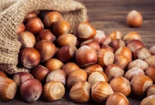 Hazelnuts